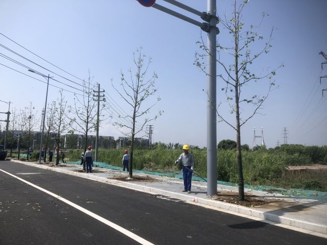 打造“一路一景”的市政道路綠化景觀