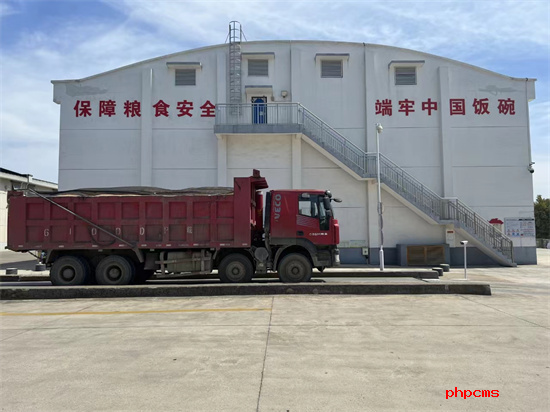 騰空有效倉容2萬噸 南京高淳扎實推進儲備糧輪換工作