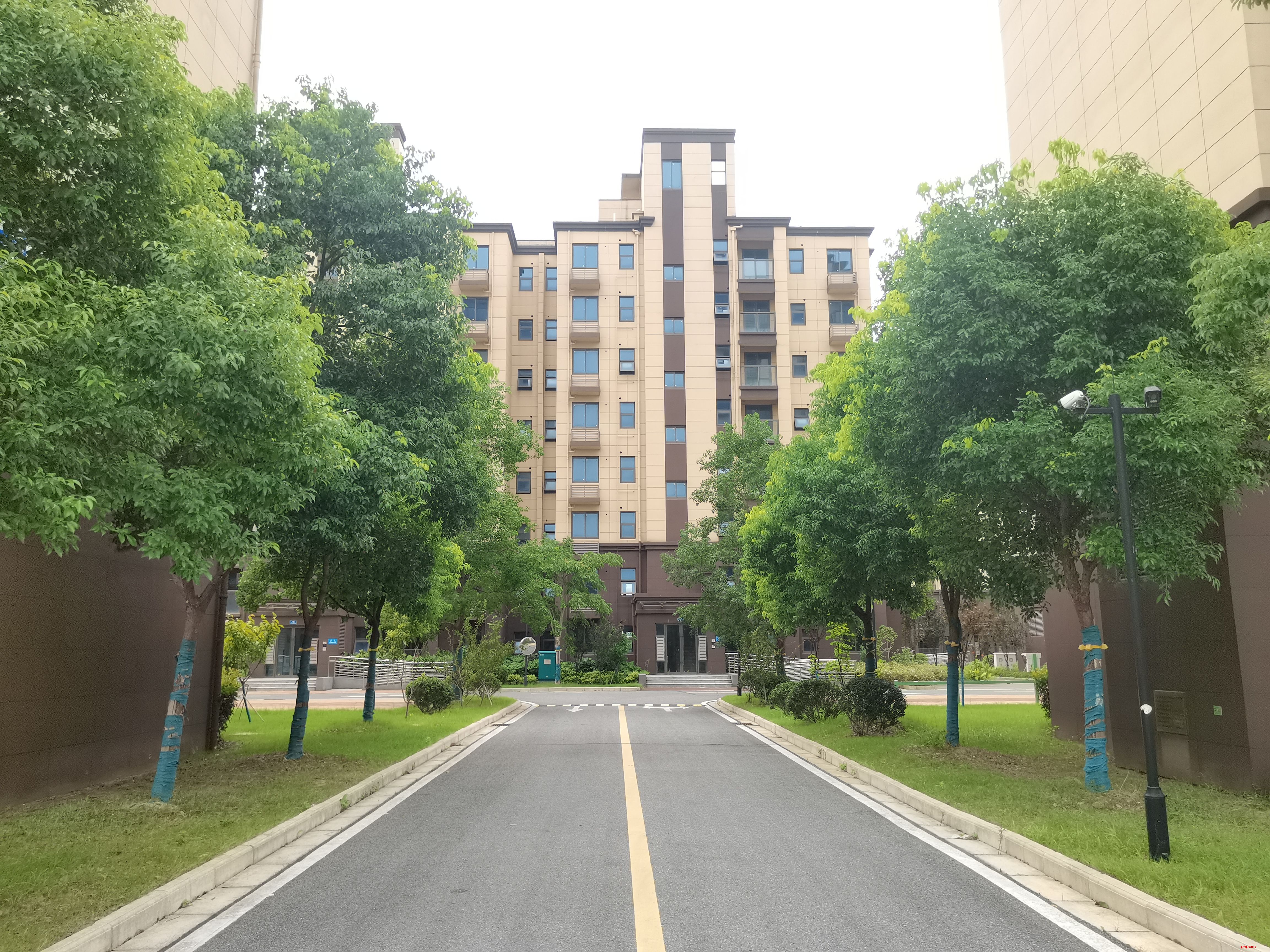 資產(chǎn)盤活再“生金”--晨景嘉園小區(qū)簡裝出租房源順利交付