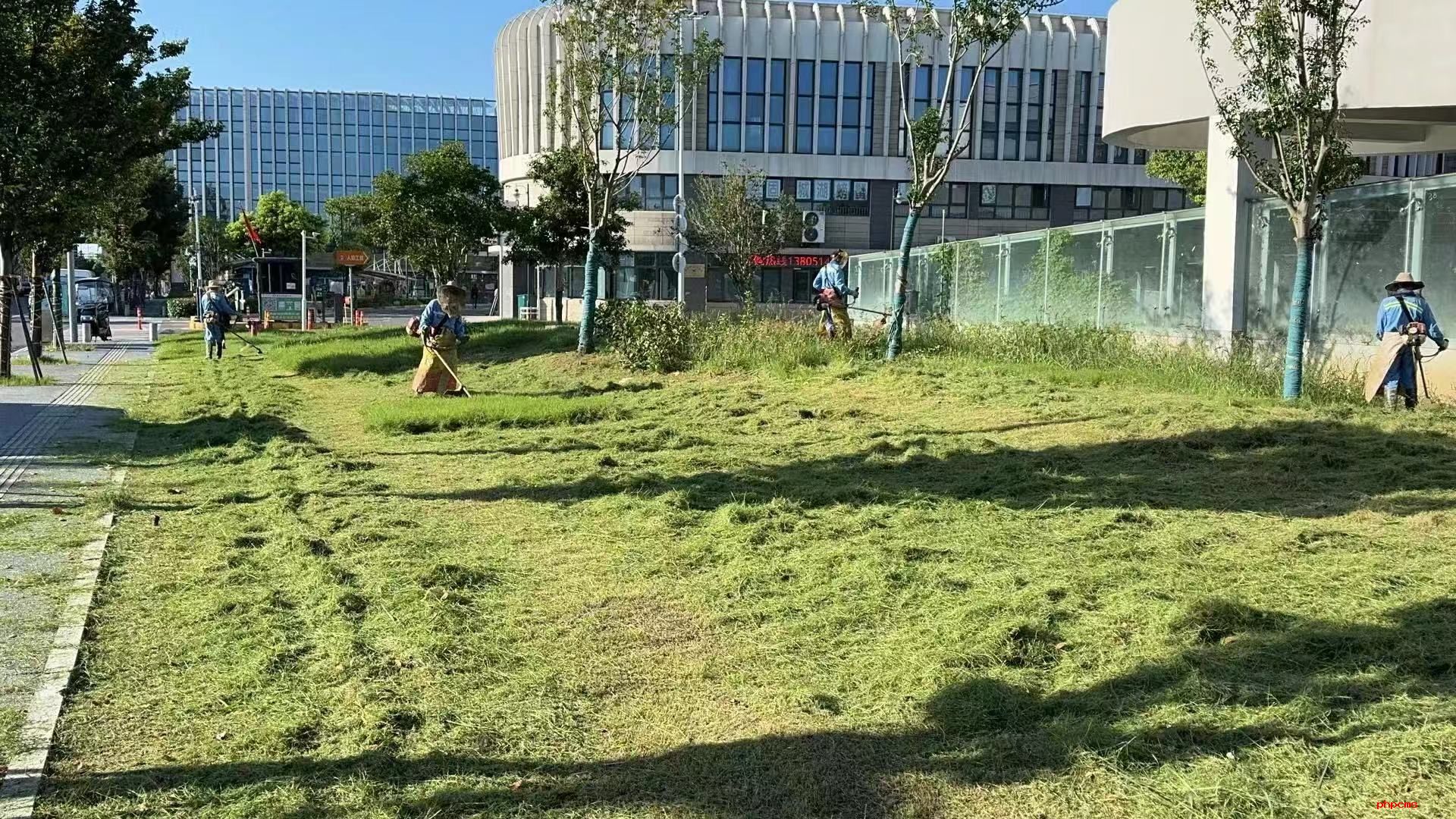 品高淳蟹 賞蟹城景，淳匯公司全面保障螃蟹城迎國(guó)慶