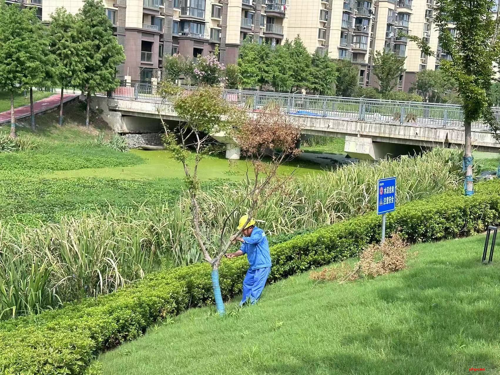 品高淳蟹 賞蟹城景，淳匯公司全面保障螃蟹城迎國(guó)慶